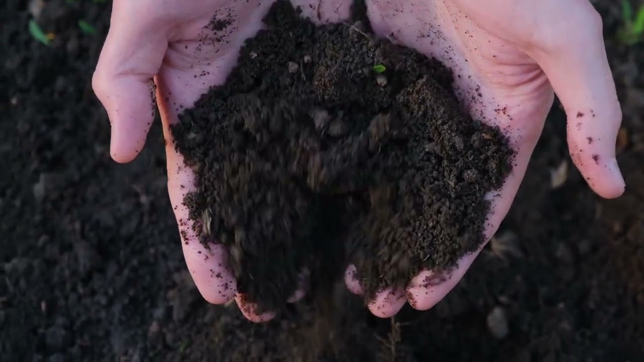 Boost Your Crops with Basalt Rock Dust & Humic Acid