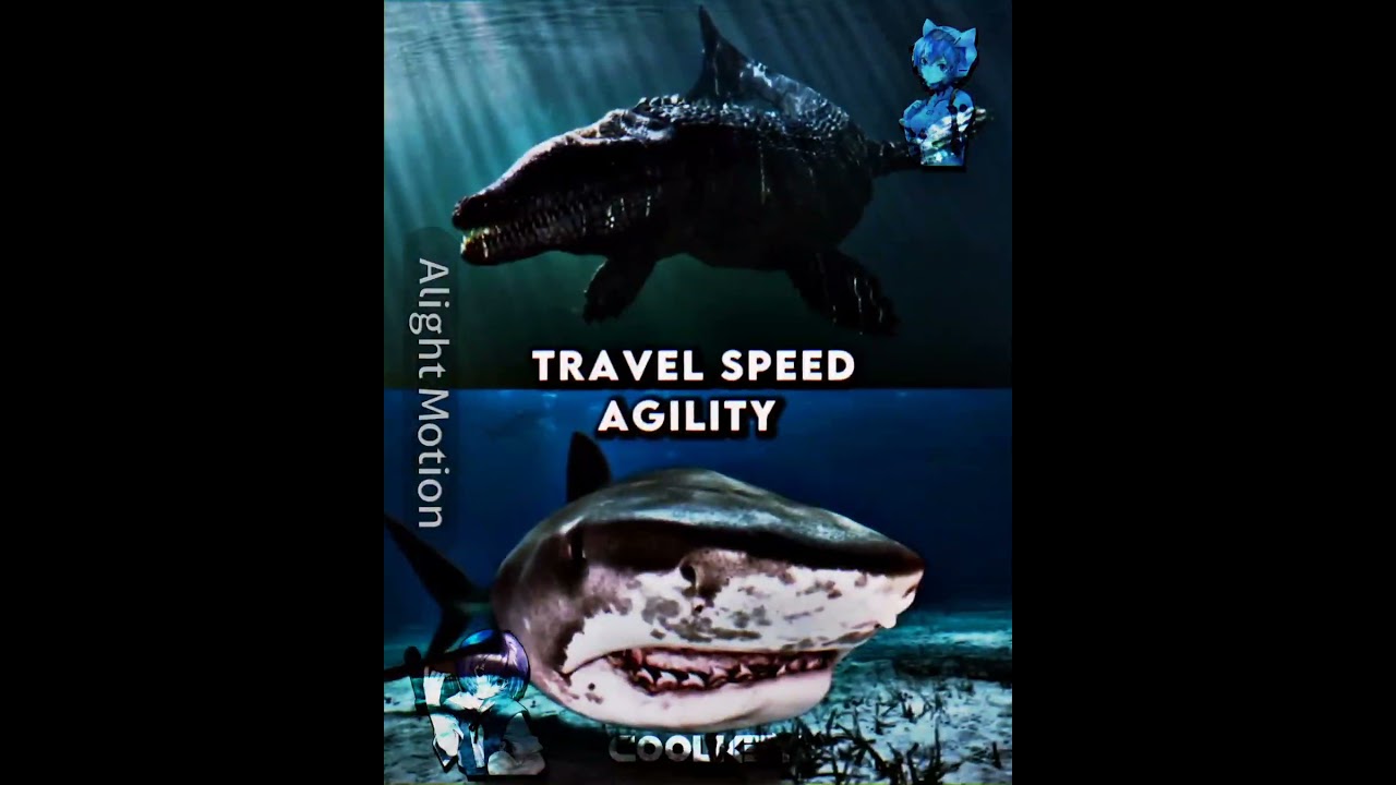 Dakosaurus Average Size Vs Tiger Shark Largest Specimen