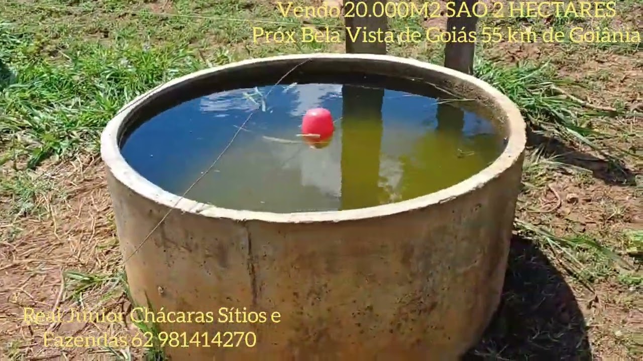 Chácara 20.000M2 2 HECT Valor 550.000 Próx Bela Vista Goiás 55 km Goiânia 62 981414270 12km de chão