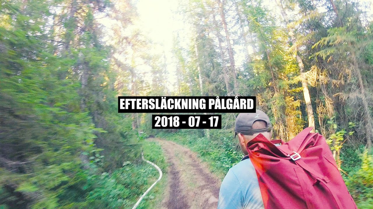 Skogsbrand Pålgård 180717