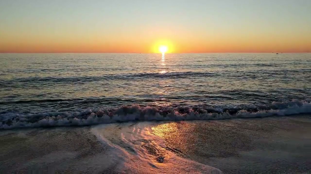 Serenity Series - 2/8/2026