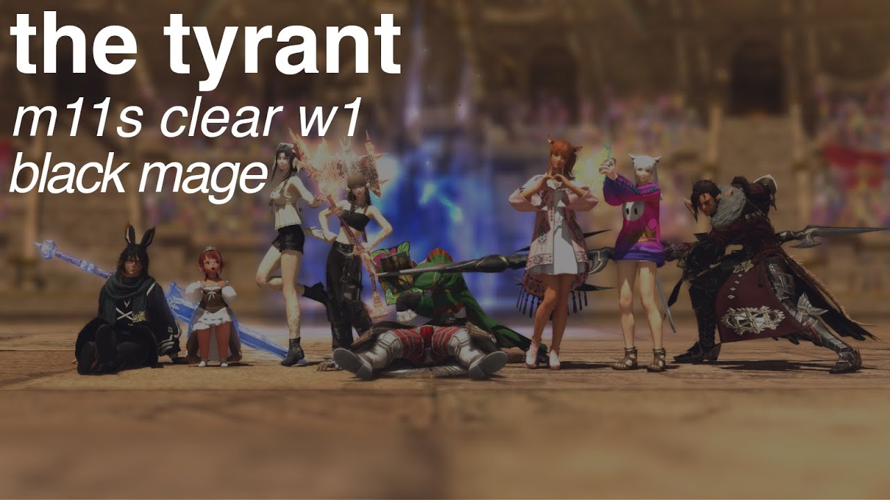 M11S BLM Clear POV - 38,111 nDPS