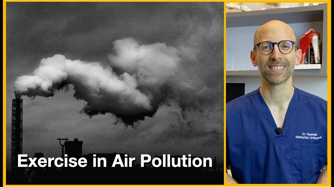 Air pollution interferes with exercise's ability to prevent dementia