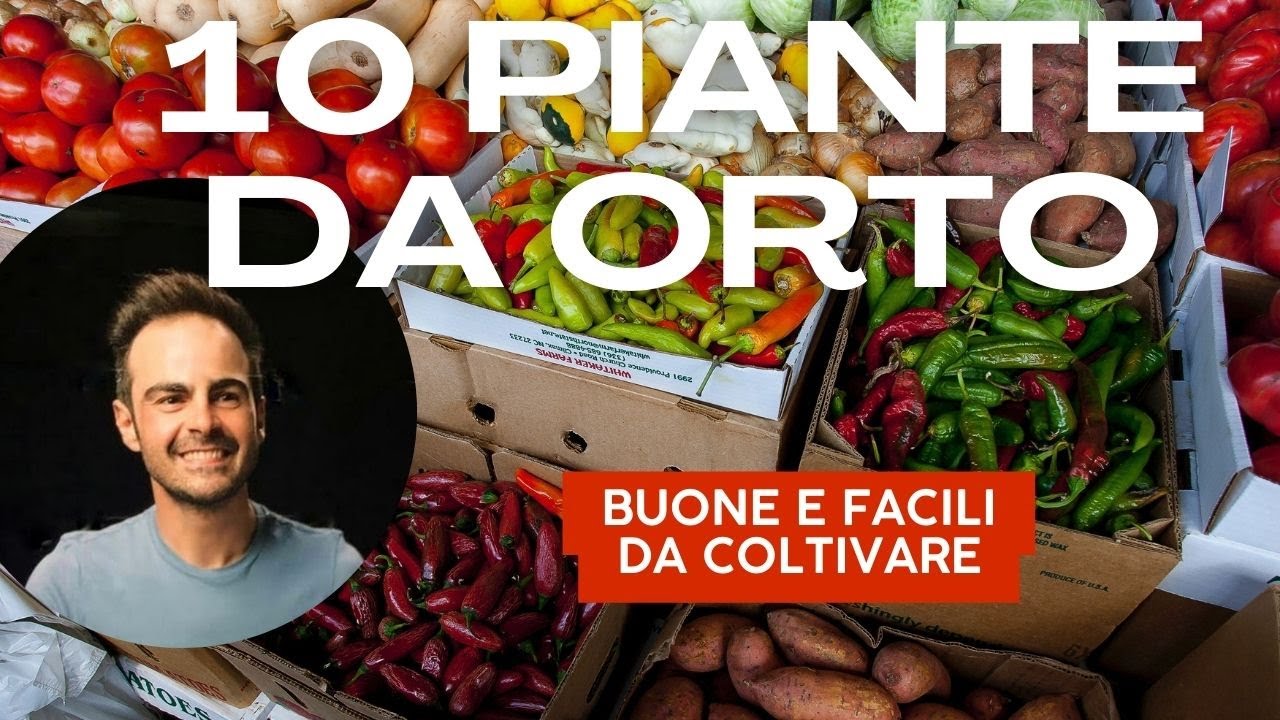 Le 10 più belle piante da Orto da Coltivare: Colori, Sapori e Salute nel tuo Giardino