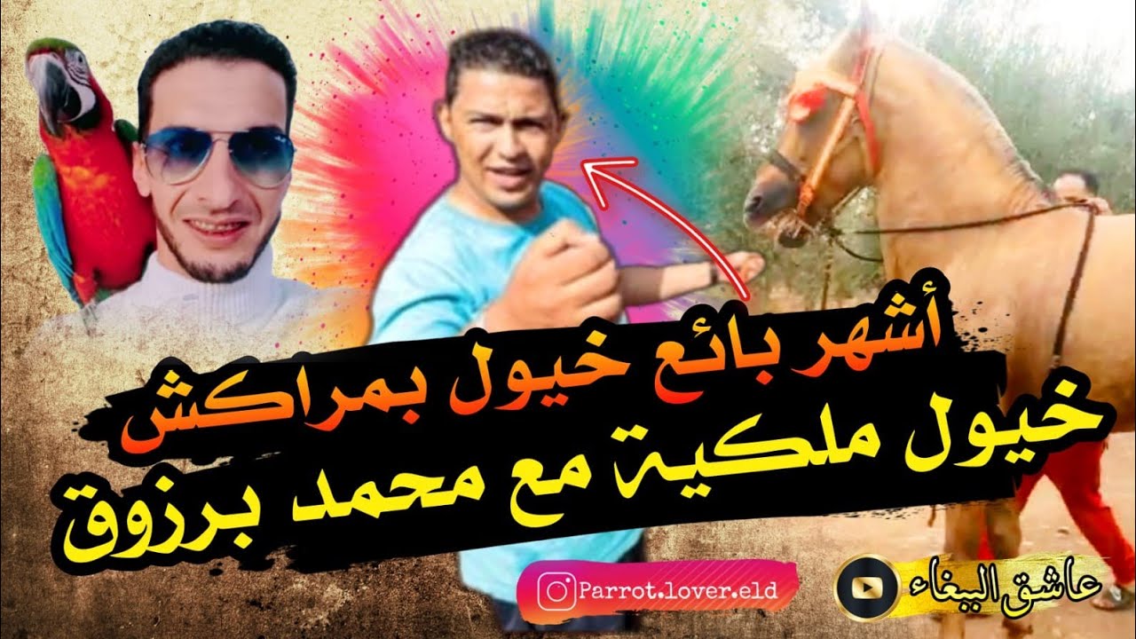واخيرا شريت🤑 عود رائع من عند الناس الزوينة ديال مراكش #محمد #بالرزوق