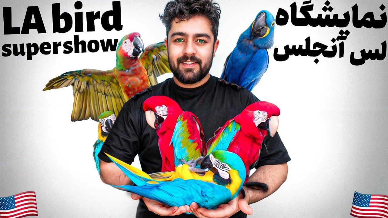 نمایشگاه طوطی لس آنجلس 2024 || بزرگ ترین نمایشگاه دنیا