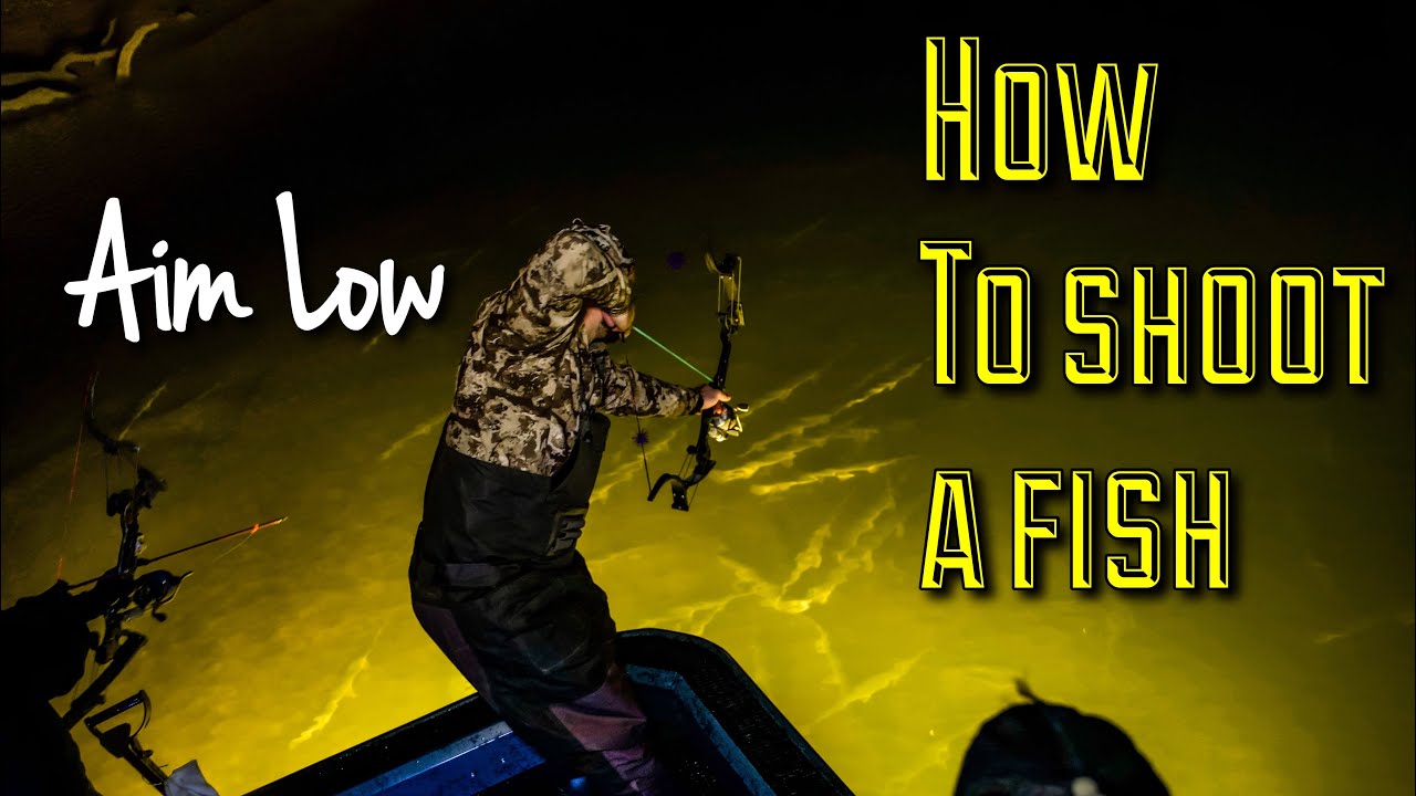 How to shoot FISH with a Bow |Bowfishing