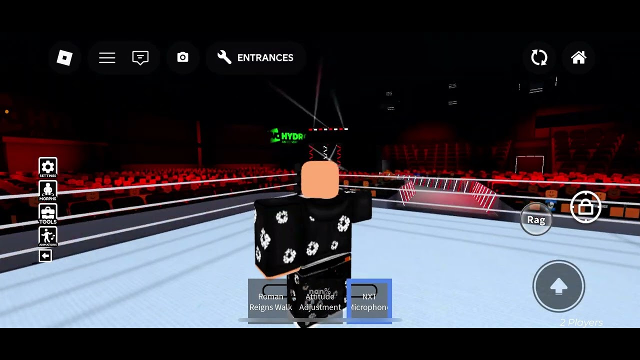 Best openers of raw