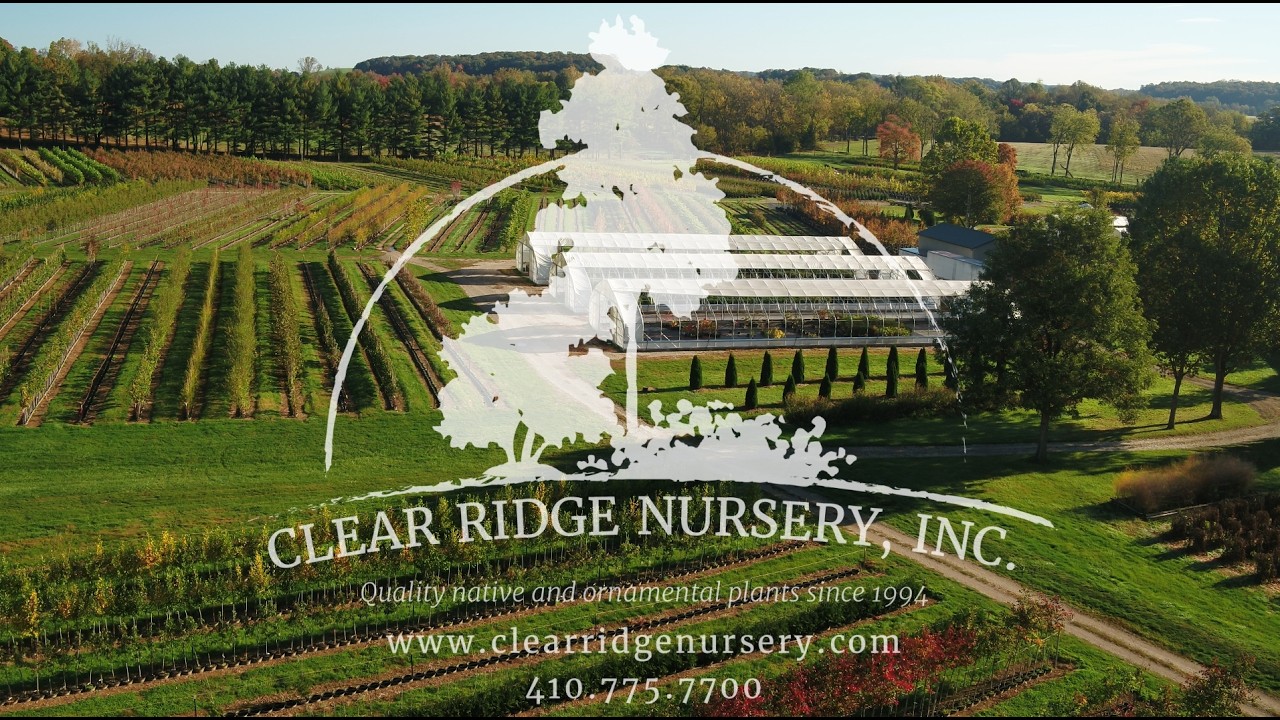 History of Clear Ridge Nursery