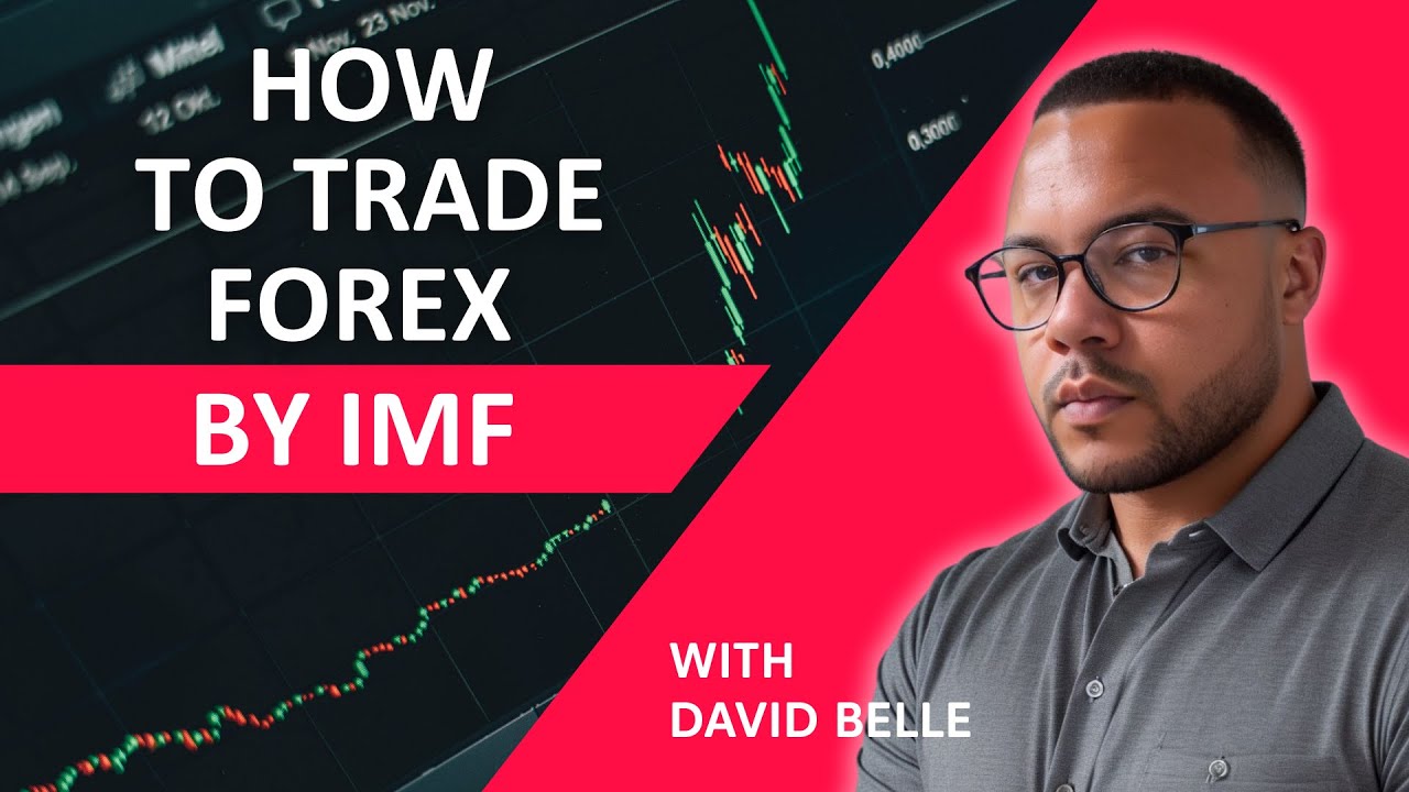 The IMF tells you how to trade FX. Will you listen? | Trading Takeout: Here's the FX trading BIBLE!