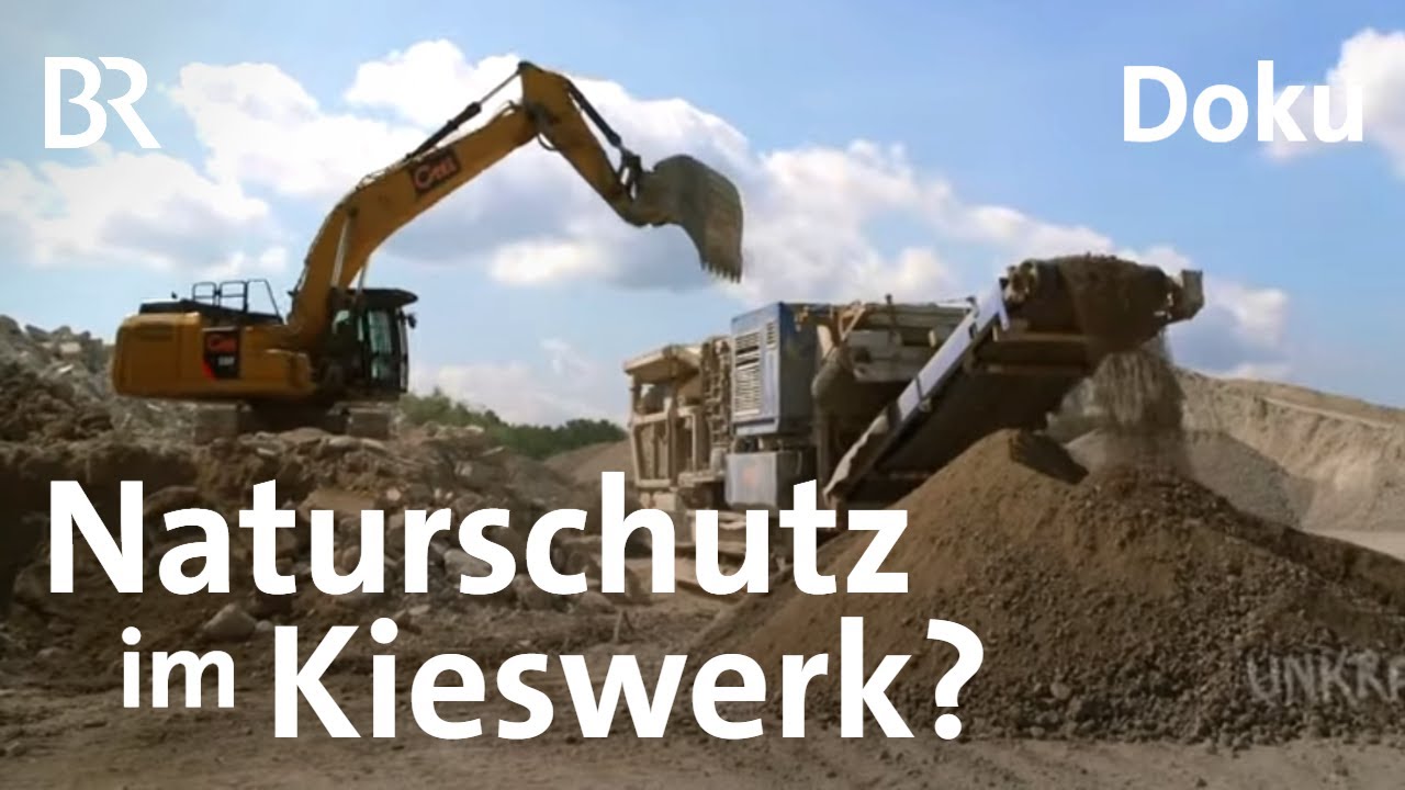 Stein statt Baum: Wie viel Natur k&ouml;nnen wir beim Kiesabbau erhalten? | UNKRAUT | Doku | BR