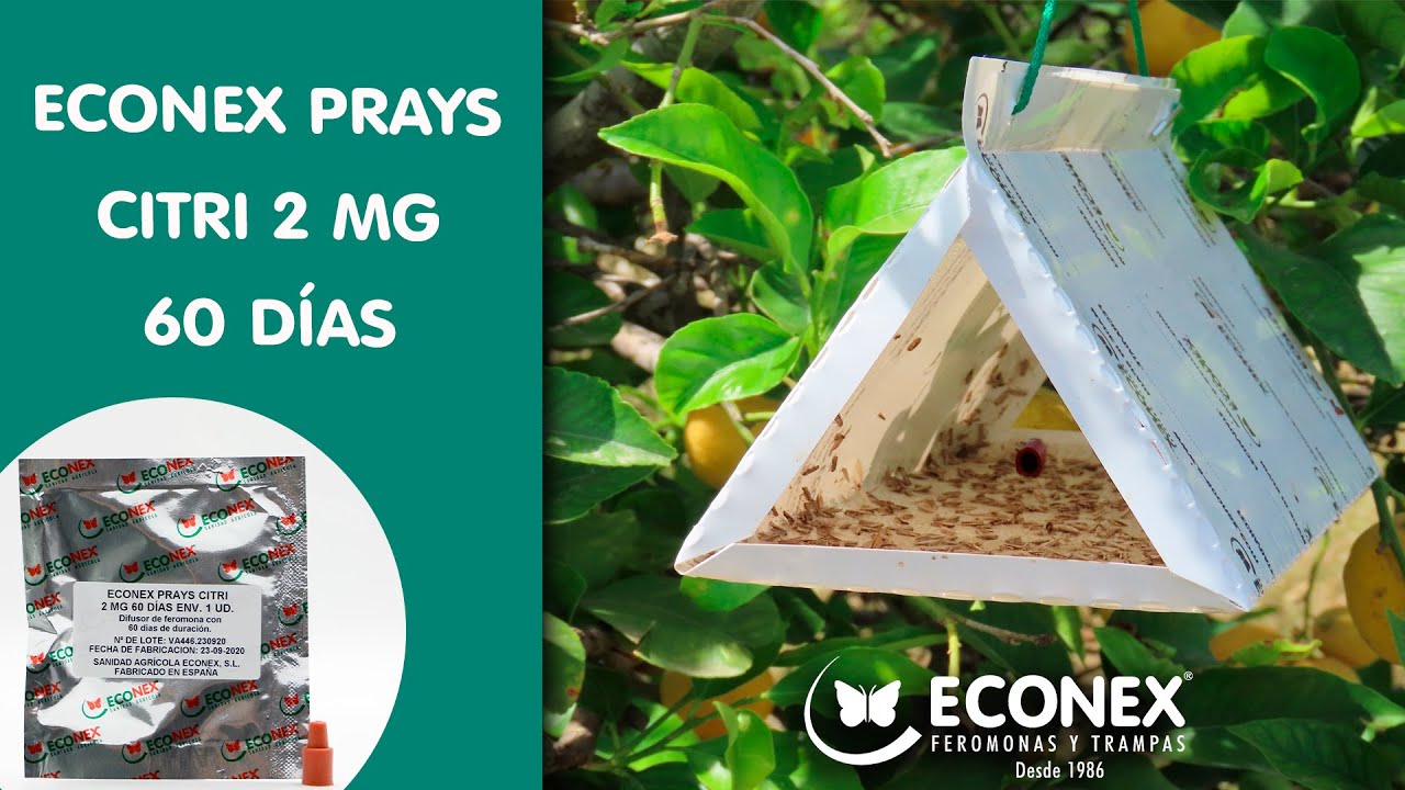 ECONEX PRAYS CITRI 2 MG 60 DIAS - BIOCONTROL PARA EL PRAYS DEL LIMONERO