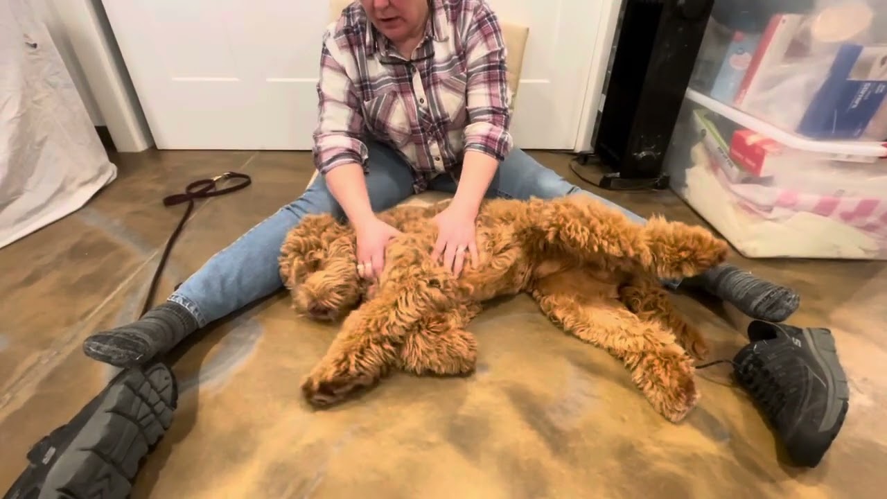 Hudson Experiences Relaxation Response! 2.28.25