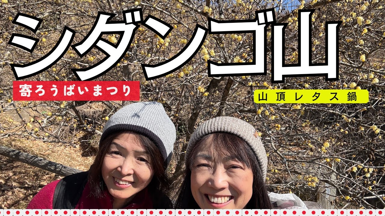 【2月 シダンゴ山】山頂でレタス鍋を作って食べよう。そのあとは寄ろうばいまつりへ　#50代 ＃登山 #初心者