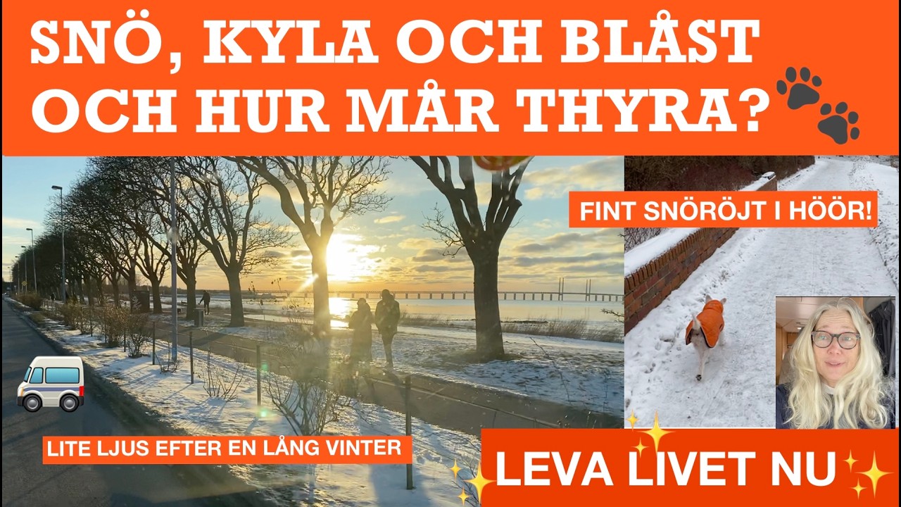 Vinter och snö. Hur mår Thyra? (339)