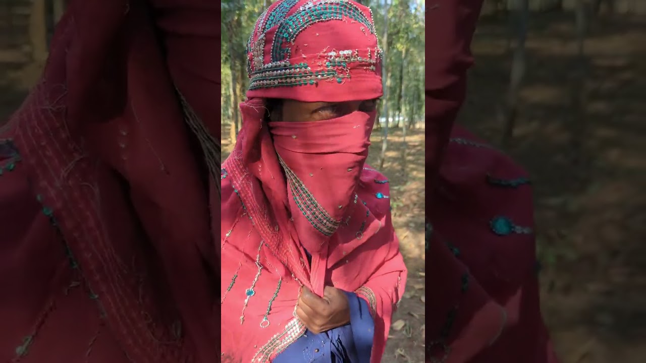 ধান্দাবাজ হাইফাই বিনোদন 