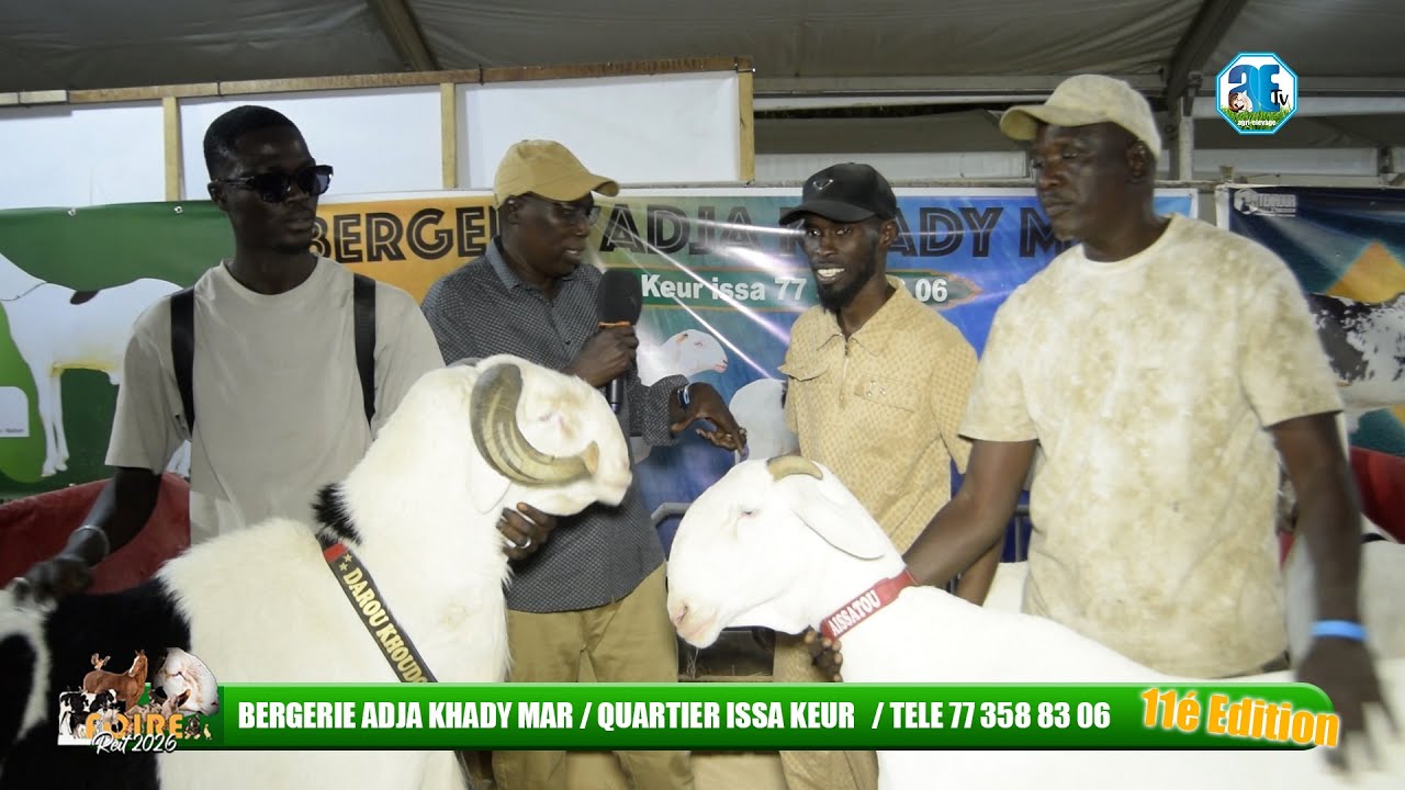 FOIRE REIT 2026 BERGERIE ADJA KHADY MAR l MEILLEUR EXPOSITIONS DE LA FOIRE- TELE 77 358 83 06