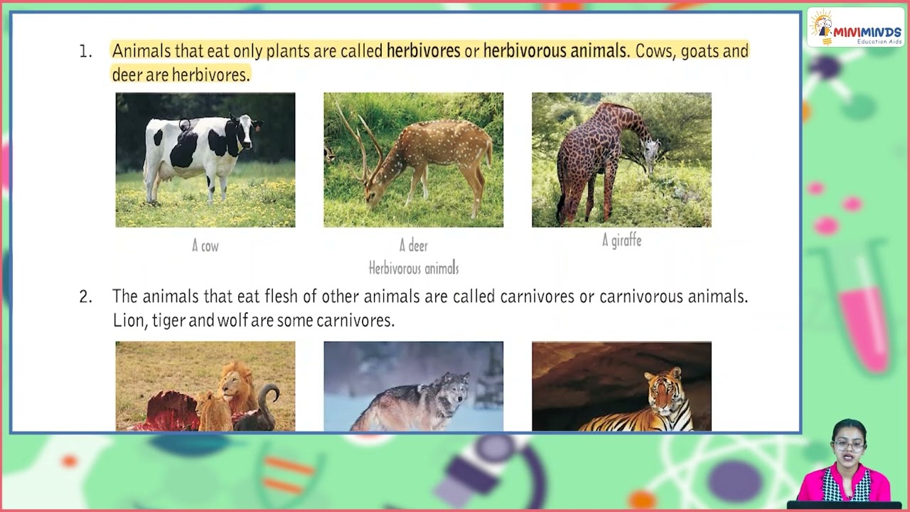 Ch 7 | Miniminds | Science Fiction | Class 5 | Amazing Animals | For children