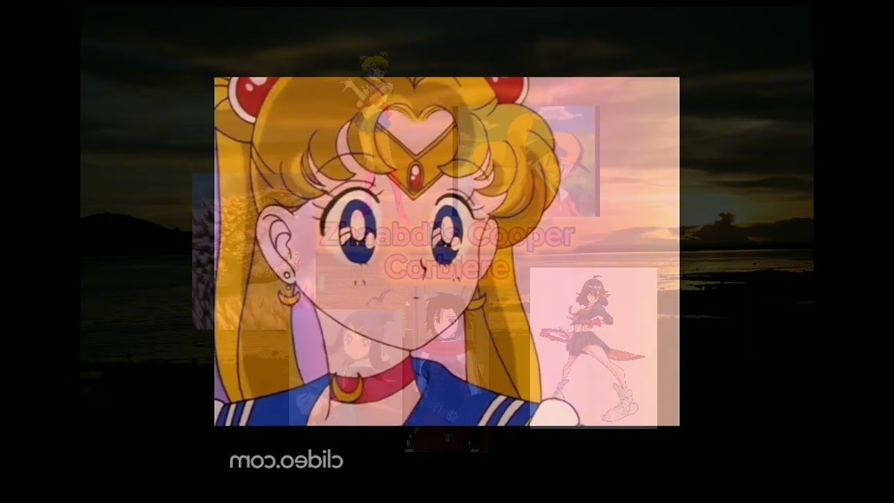 Sailor Moon Vs Bowser