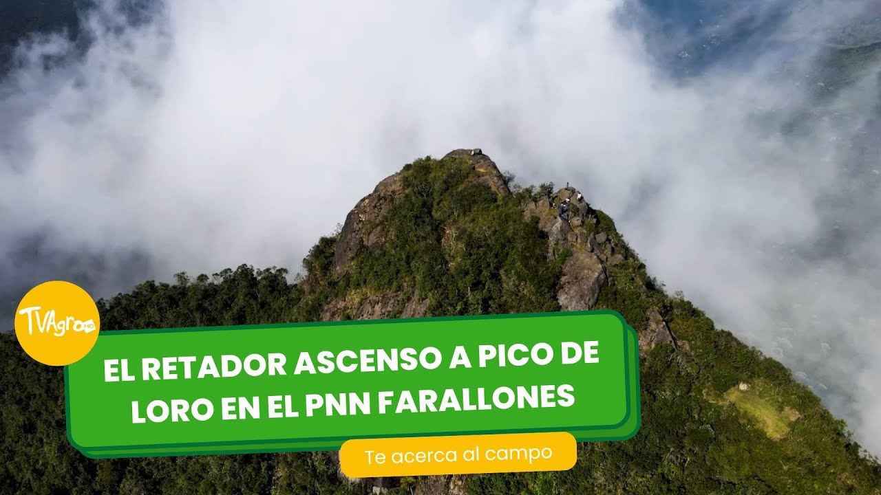 El retador ascenso a Pico de Loro en el PNN Farallones- TvAgro por Juan Gonzalo Angel Restrepo