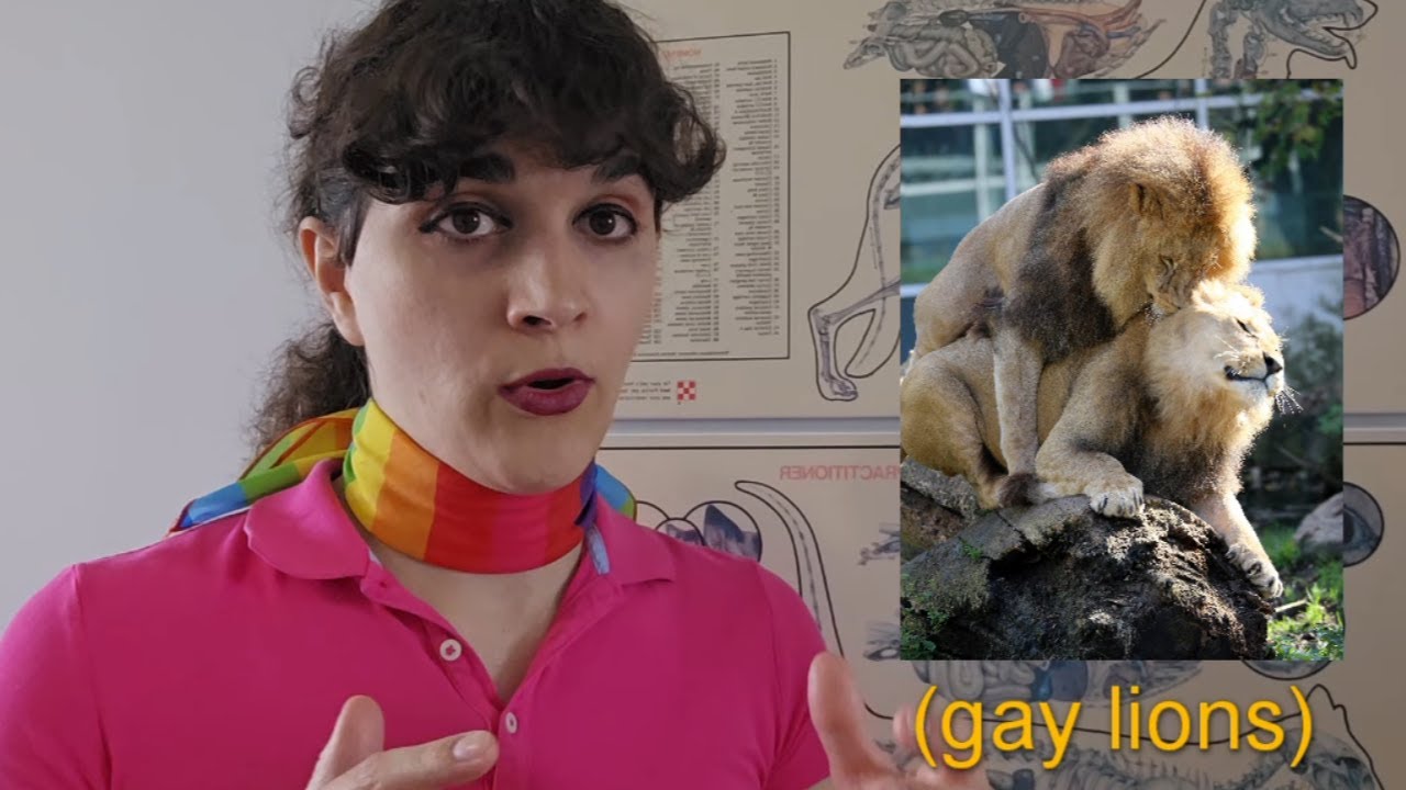 Gay Animals: The Politics of Animal Homosexuality