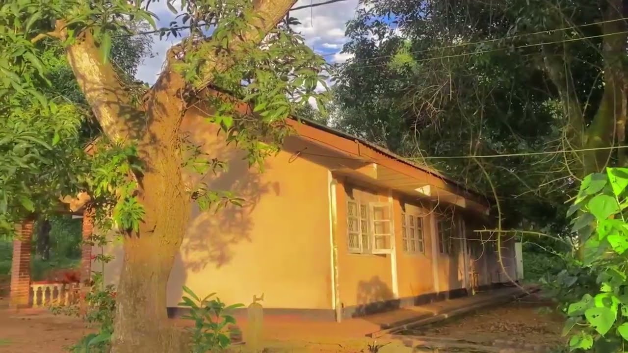 ATI Gampaha (Naiwala)