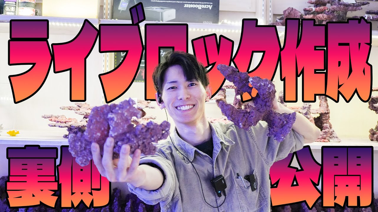 【ショートマンTV】レイアウトライブロック作成の裏側大公開！！