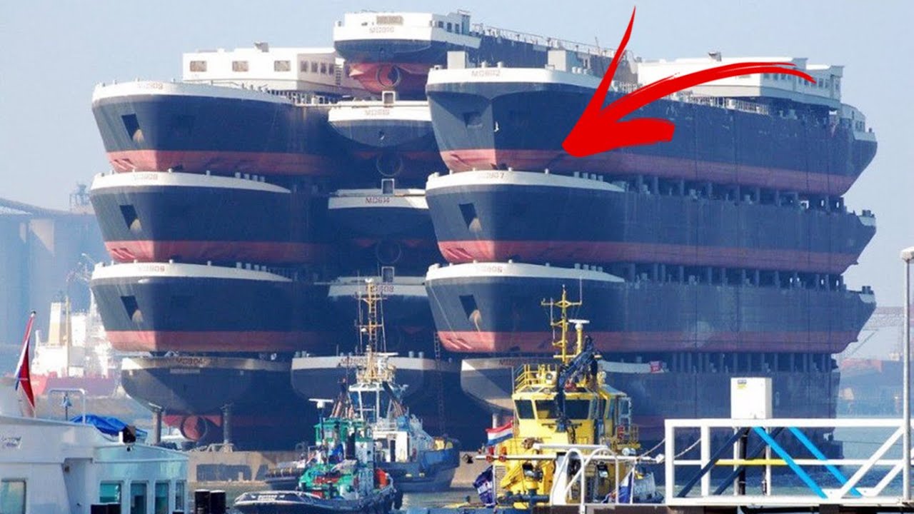 Le Navi Più Mostruosamente Grandi E Sorprendenti Del Mondo!