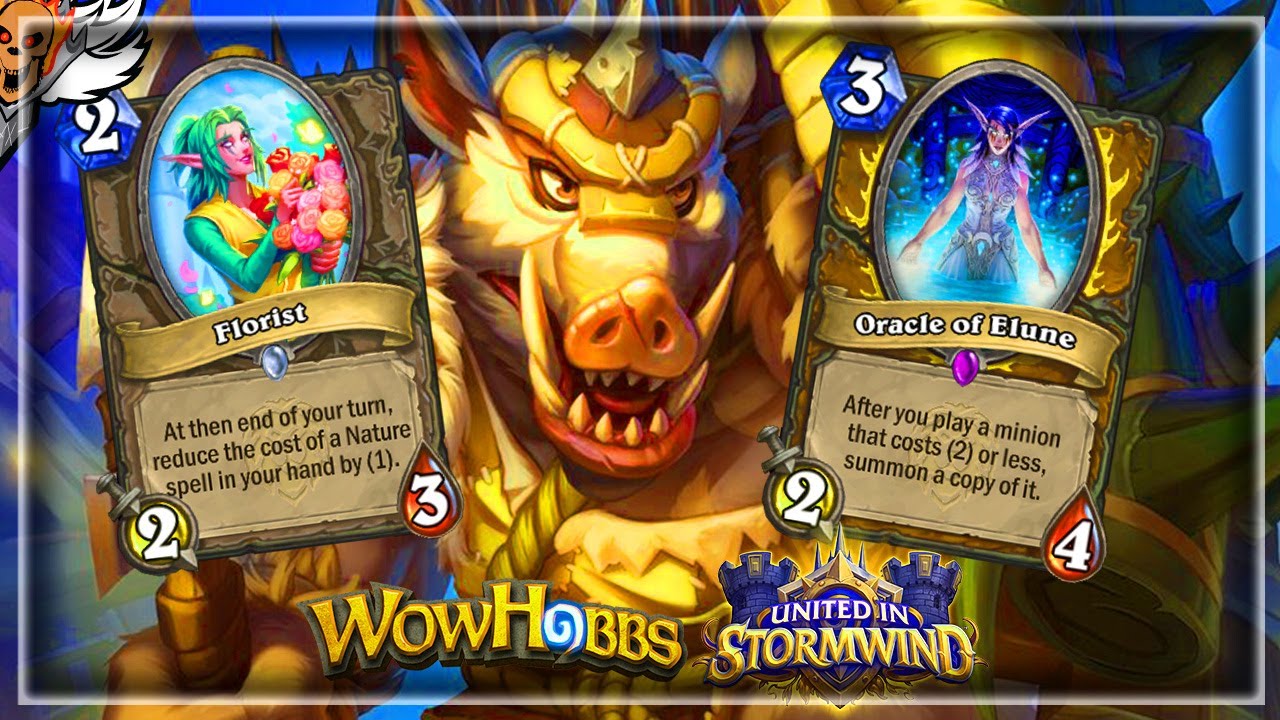 Oracle of Elune and Florist - Hearthstone United in Stormwind