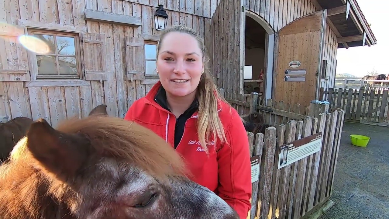 Wie sieht der Alltag unserer Tierpfleger aus?