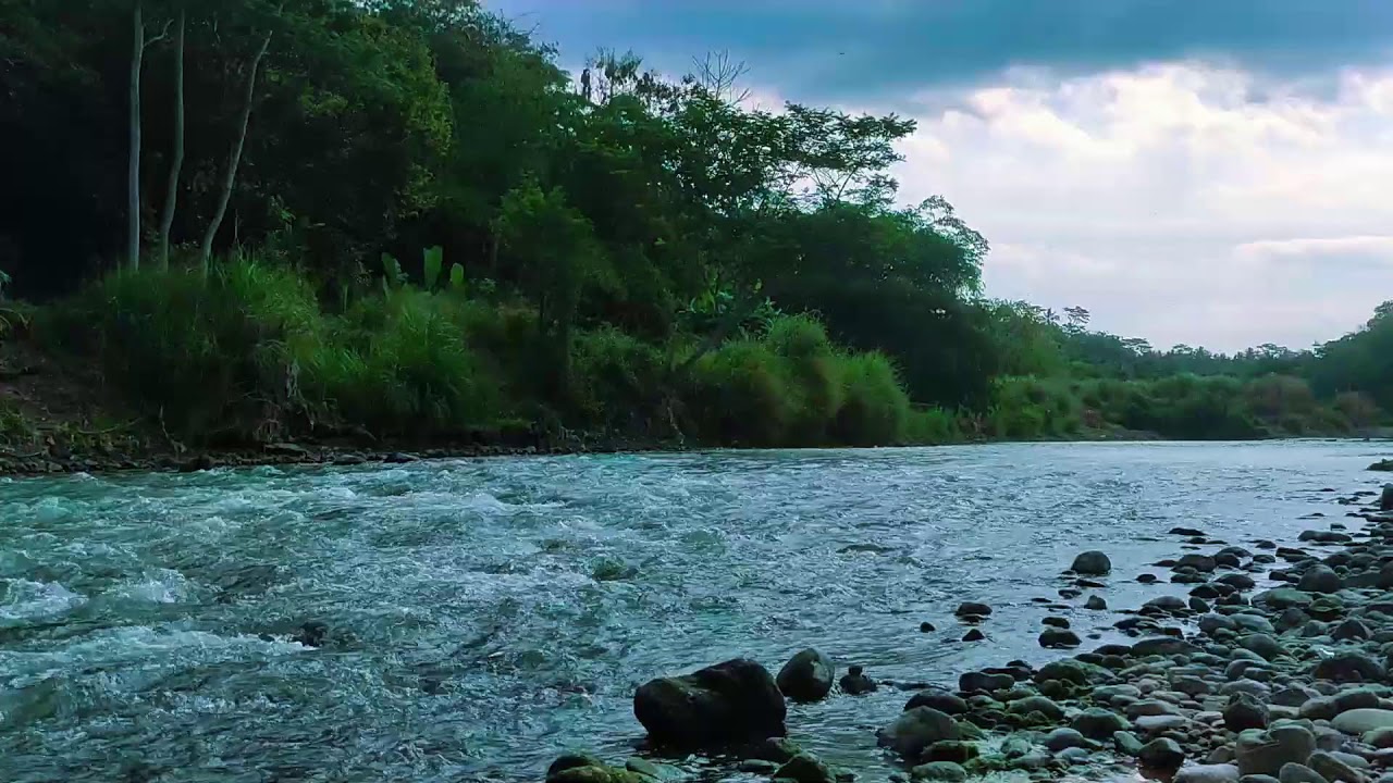 Natural River Sounds for Sleeping  10 Hours Deep Relaxation
