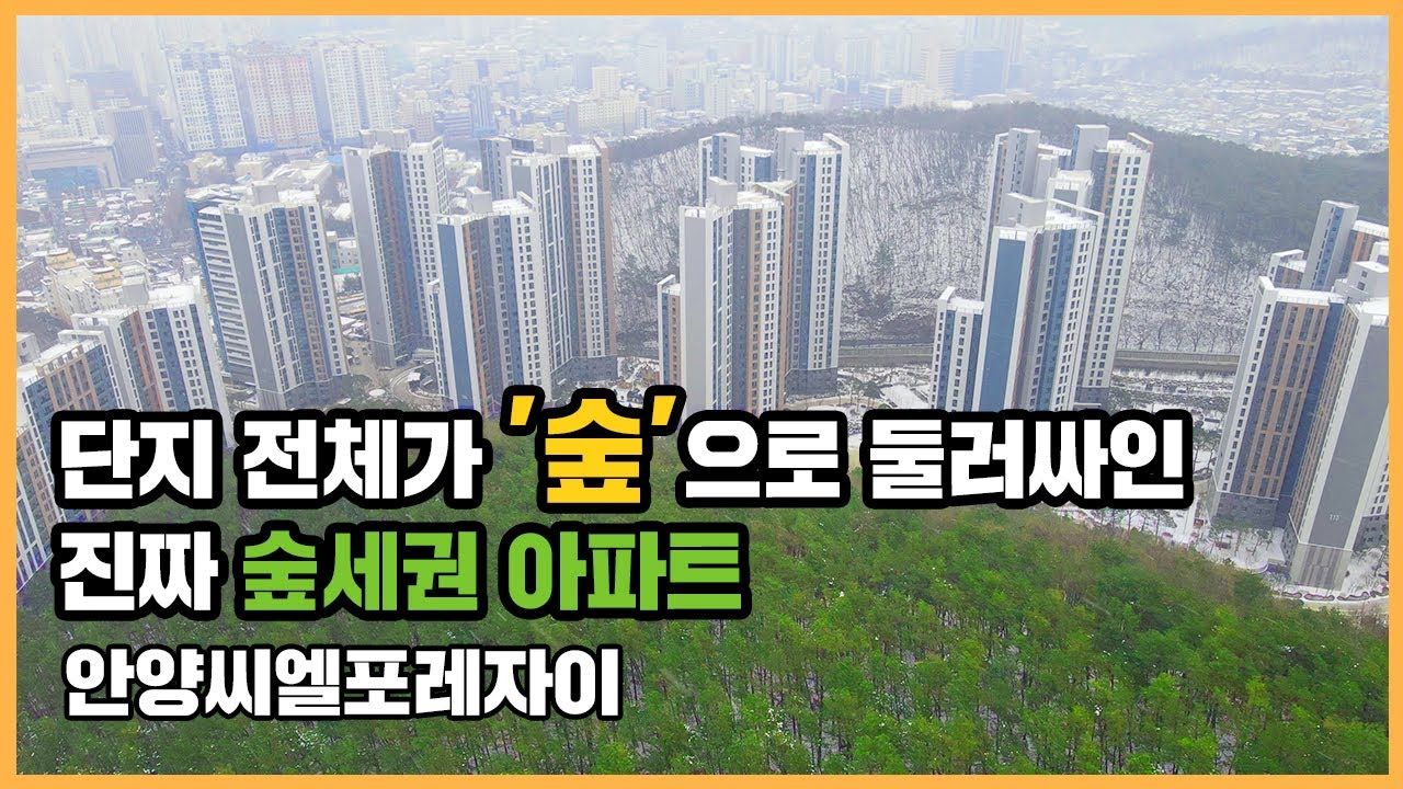 🔔최초공개🔔 '찐' 숲세권 아파트! 안양의 첫 자이 브랜드 대단지, 안양씨엘포레자이ㅣ아파트 언박싱