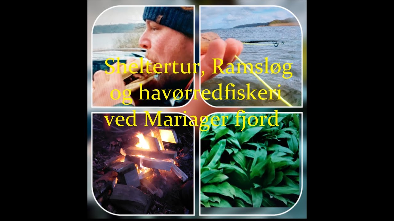 Sheltertur,  Ramsløg og Havørredfiskeri ved Mariager fjord