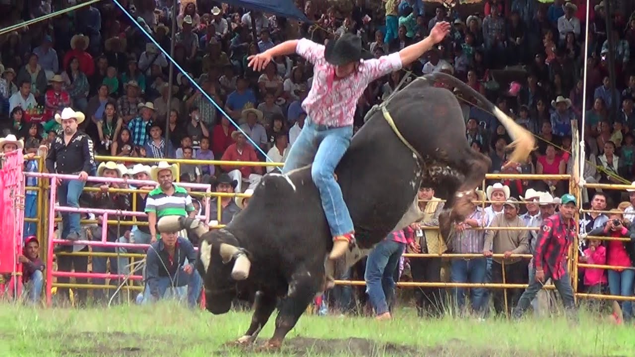 ''LOS NUMERO UNO'' DE HUANDACAREO LOS TOROS DIVINOS 2015 EN EL CARMEN MICH.