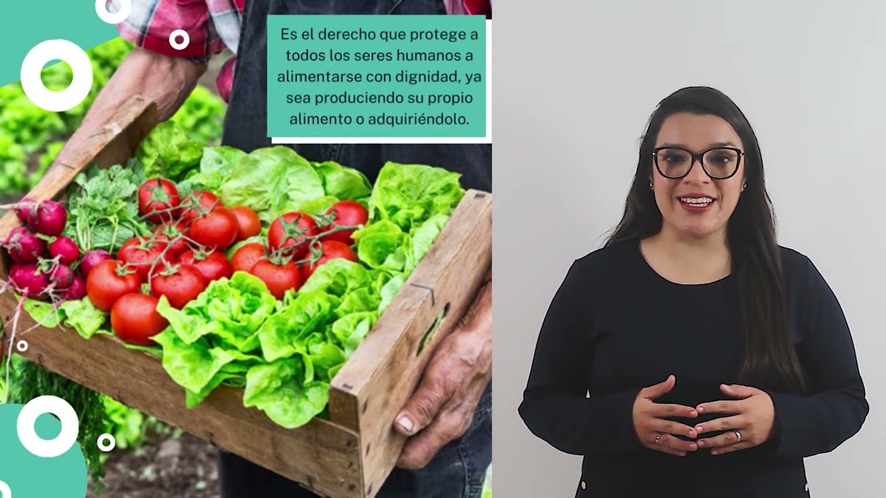 V1 DERECHO A LA ALIMENTACIÓN ADECUADA