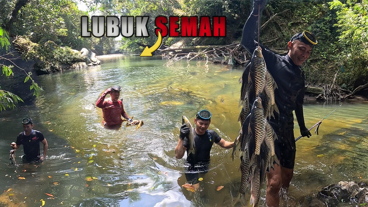 SERU‼️ PESTA IKAN SEMAH, selam selama setengah hari hasil sangat lumayan