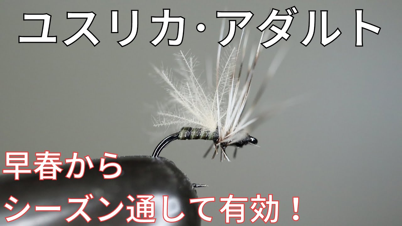 【フライタイイング】ユスリカ･アダルトを巻いてみた！早春からシーズン通して有効な必携フライ！