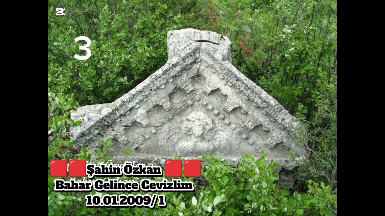 3-🟥 CEVİZLİ ŞAHİN ÖZKAN BAHAR GELİNCE 3 