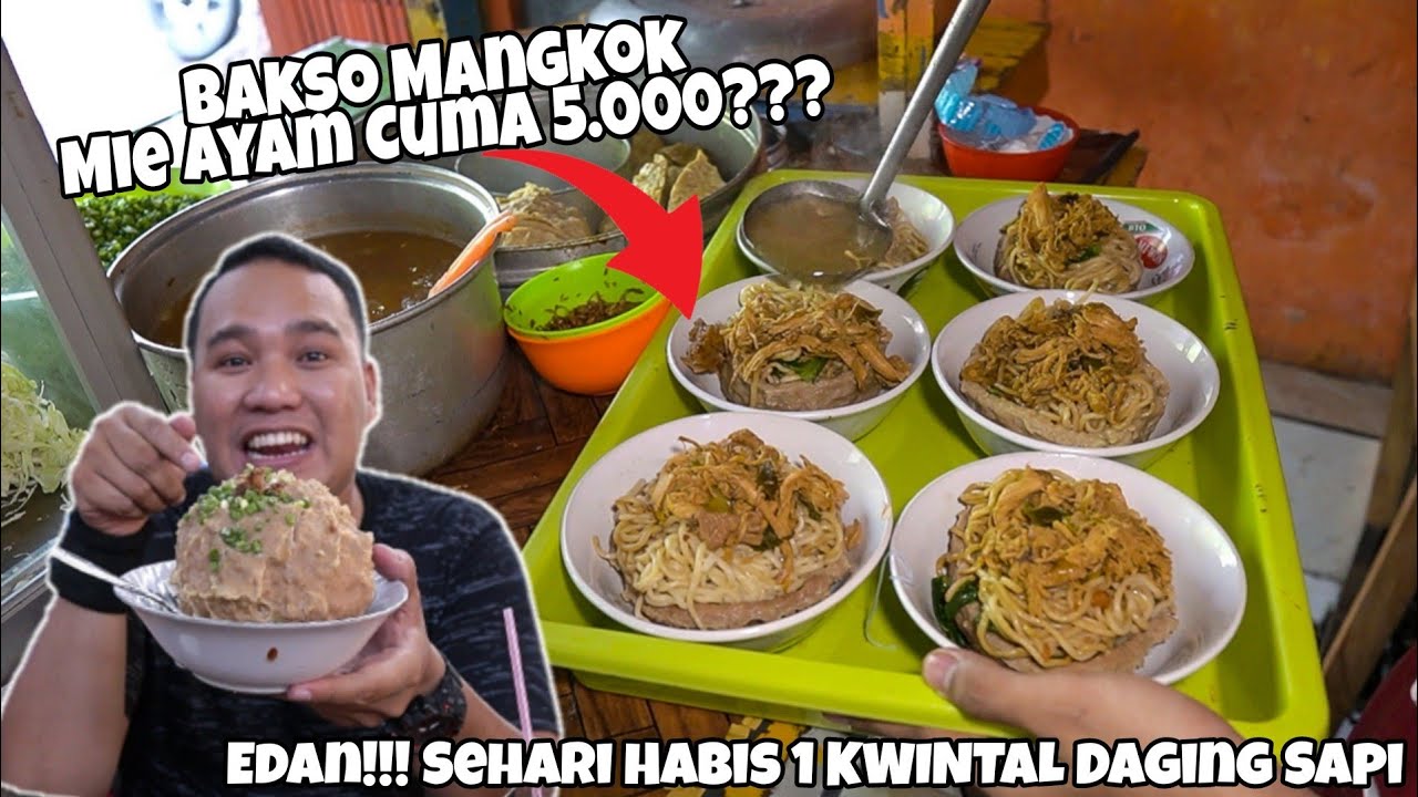 BAKSO DINOSAURUS MIE AYAM MANGKOK TERMURAH SE-INDONESIA!!!