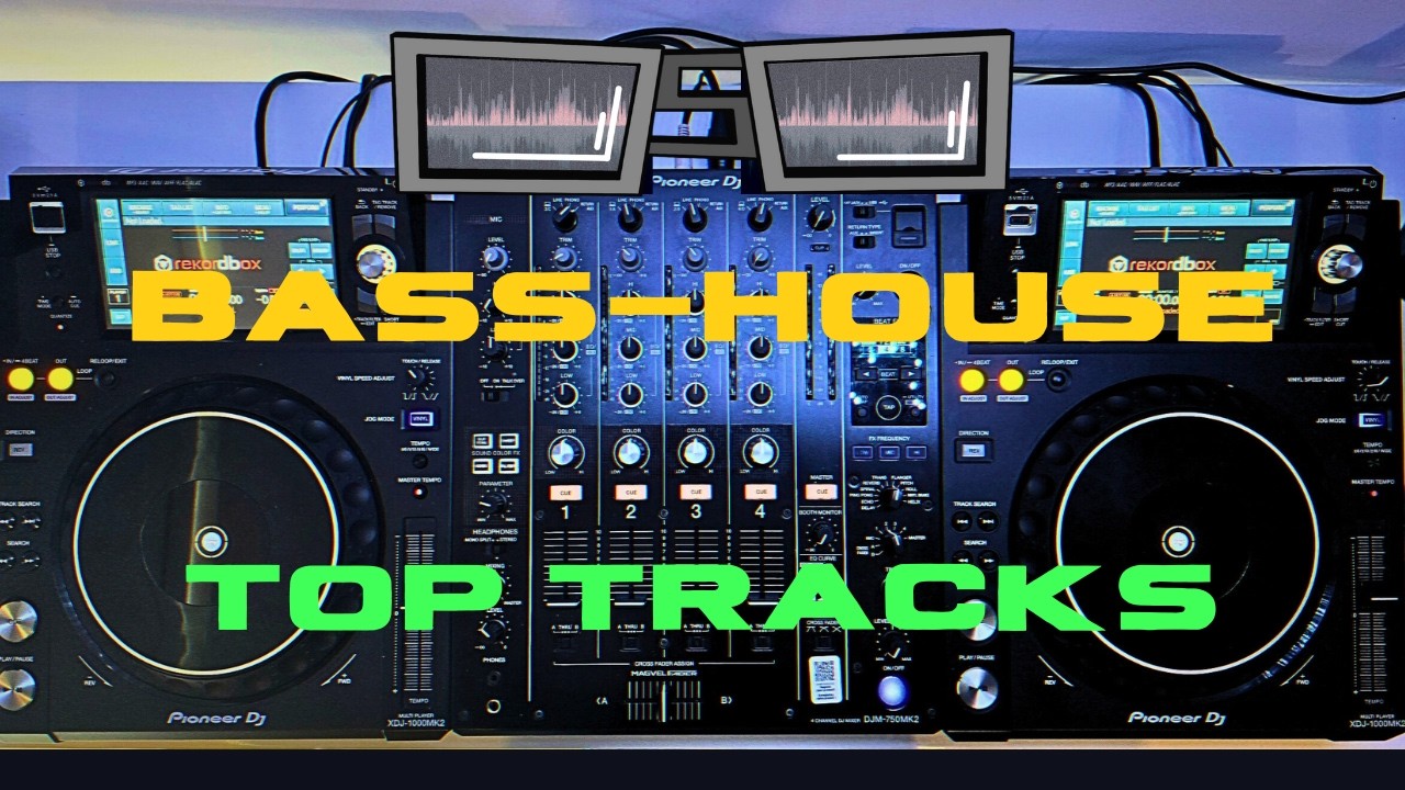 Bass House Mix 2025 | Top Tracks of March | Bass-House Sessions Vol.14