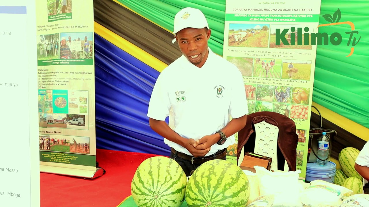 ELIMU YA KILIMO CHA MATIKITI YATOLEWA NA  MWANAFUNZI WA UKIRIGURU
