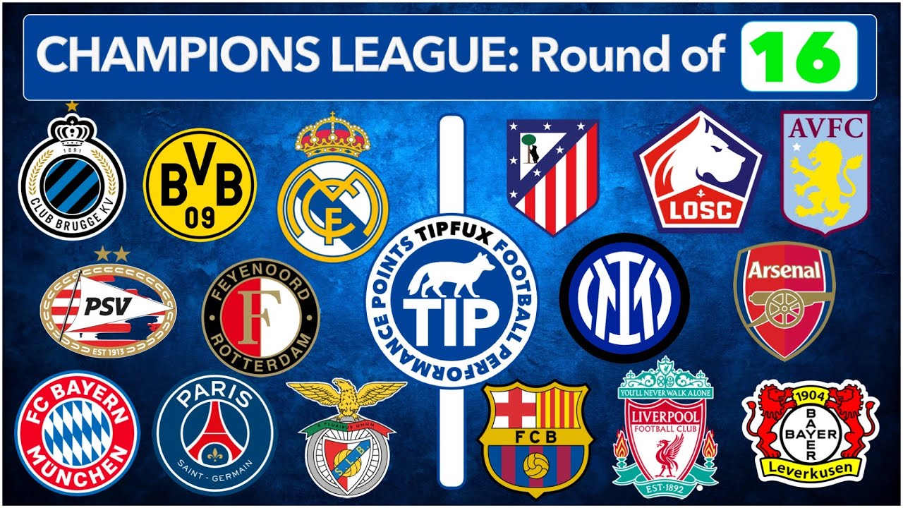 CHAMPIONS LEAGUE 24/25 Predictions & Betting tips | The UNIQUE football data analysis