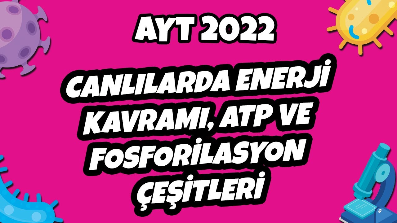 AYT Biyoloji - Canlılarda Enerji Kavramı, ATP ve Fosforilasyon | AYT Biyoloji 2022 #hedefekoş