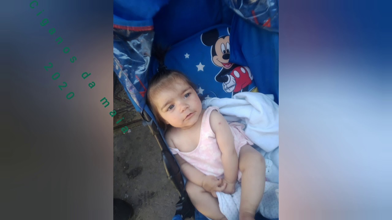 ciganos da maia 2020