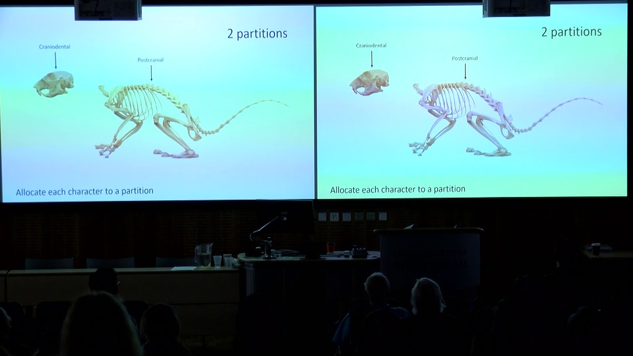 MORPHOLOGICAL DATA PARTITIONING AND PHYLOGENETIC SIGNAL IN RODENTS