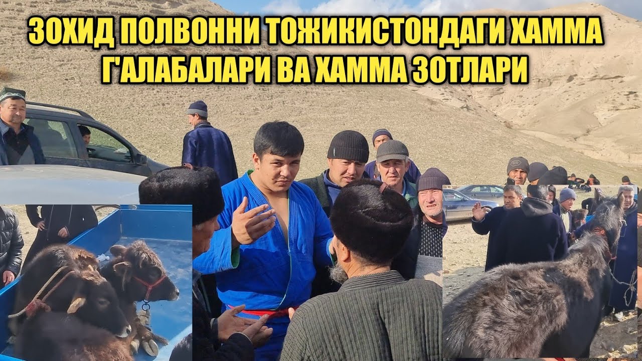ЗОХИД ПОЛВОН ТОЖИКИСТОНДА УЧ ПОЛВОННИ БОСГАНИ ВА ХАММА ЮТГАН СОВРИНЛАРИ.23.01.22