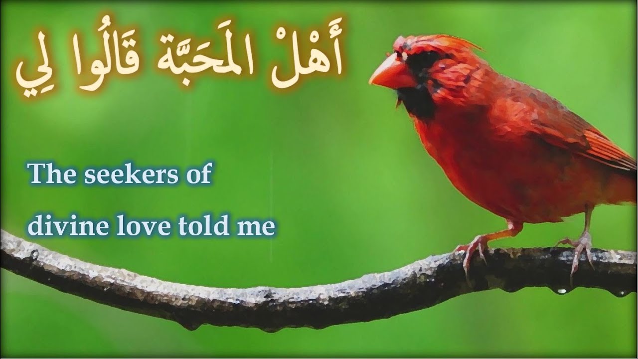 أَهل المحَبَّة قَالُوا لي - الطريقة القادرية البوتشيشية | Sufi Chant with Subtitles
