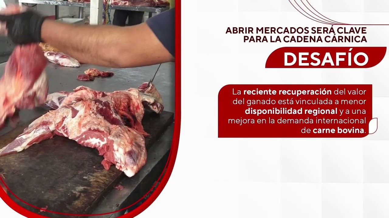Cómo se reparte el valor de la carne exportada