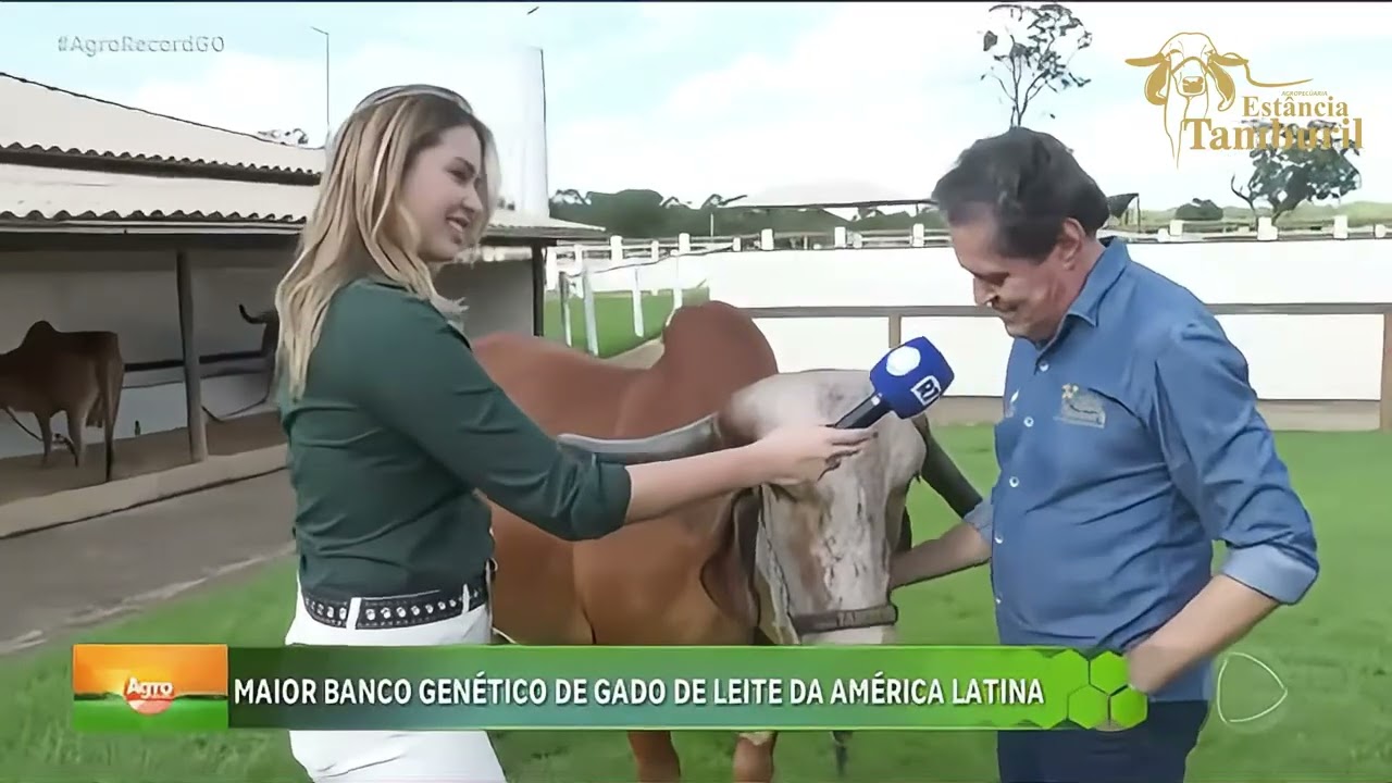 O Agro Record destaca o crescimento e a sustentabilidade da produ&ccedil;&atilde;o de leite na Est&acirc;ncia Tamburil