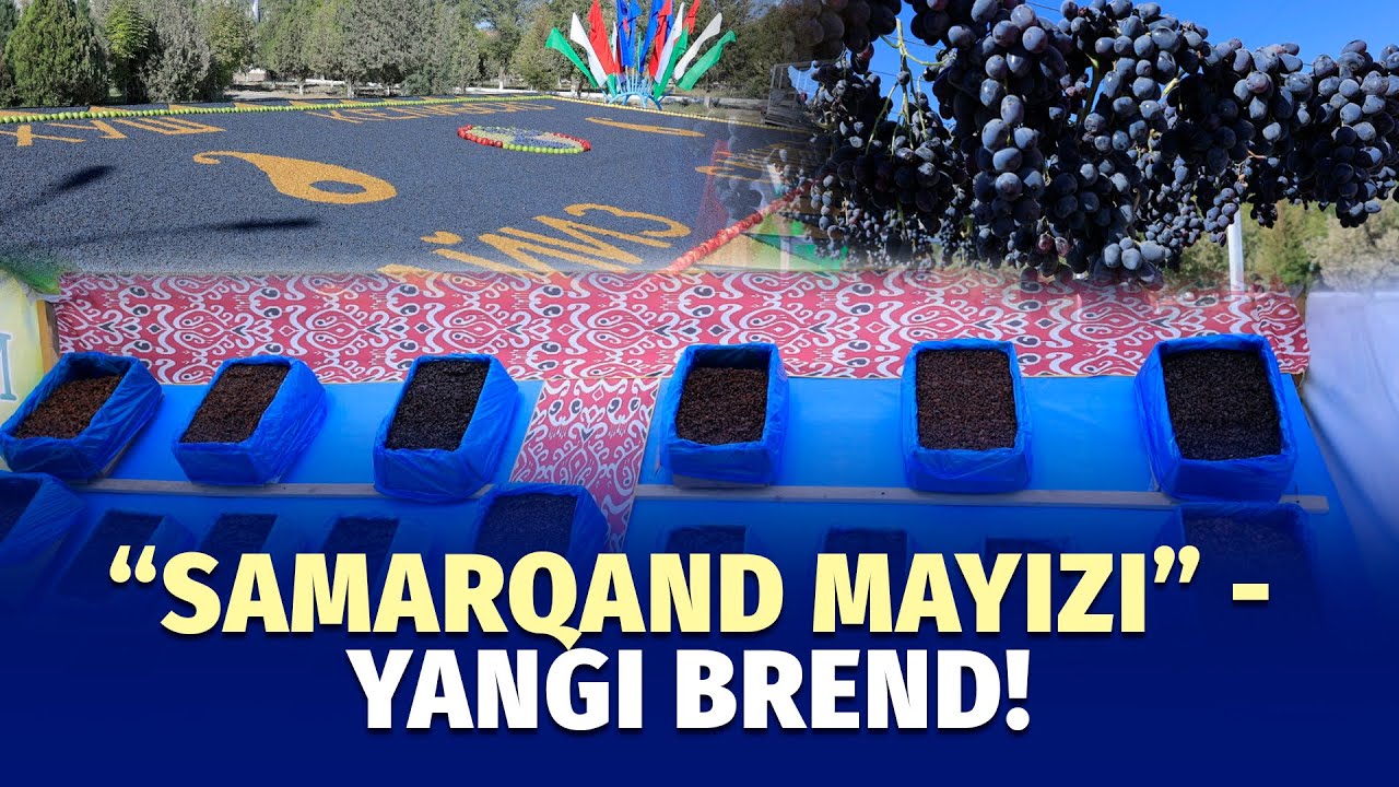 Samarqand mayizi endi milliy brend hisoblanadi
